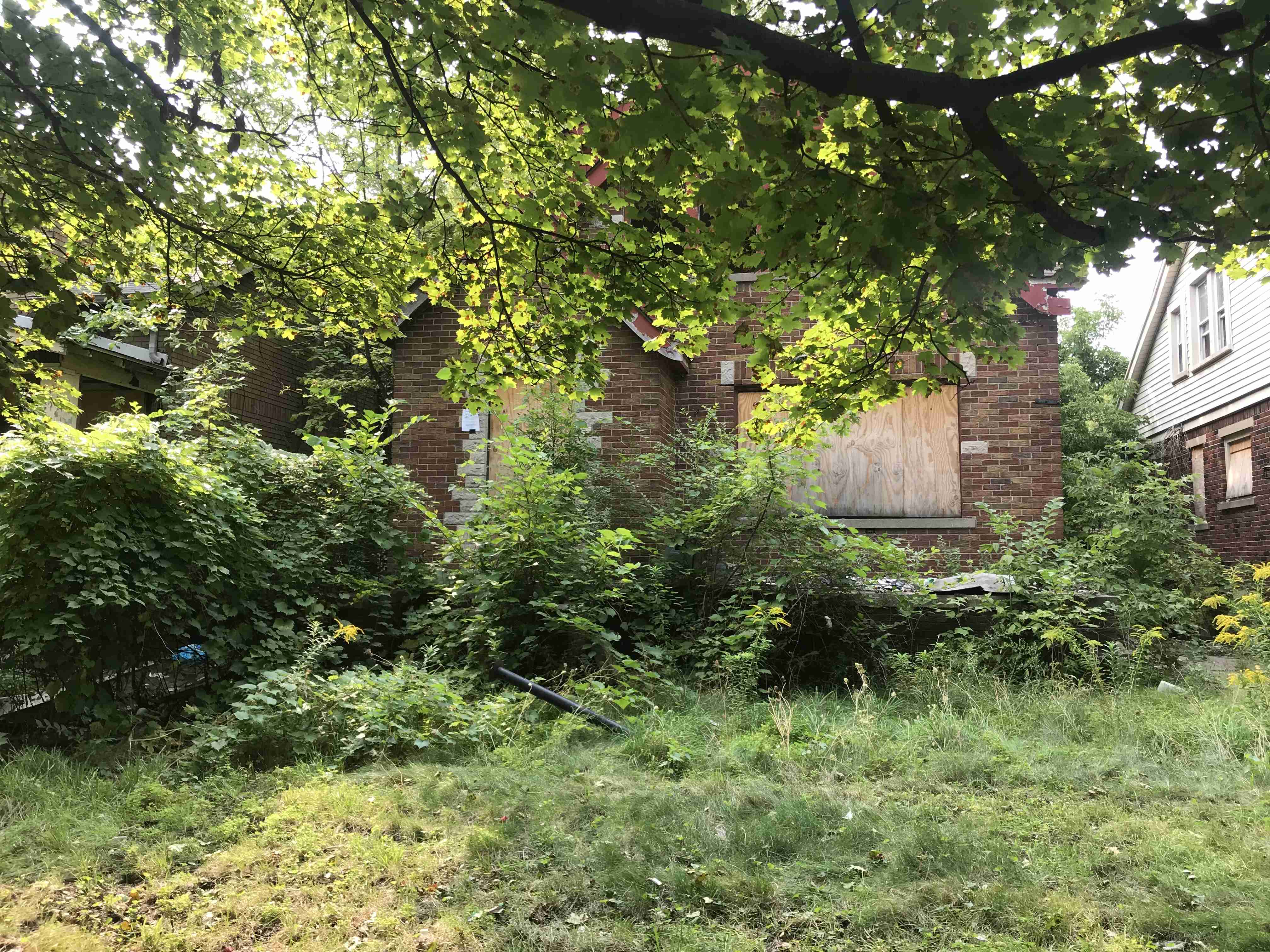 Photo Sep 15, 3 24 48 PM.jpg